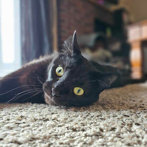 Meet your Posher, Krystal